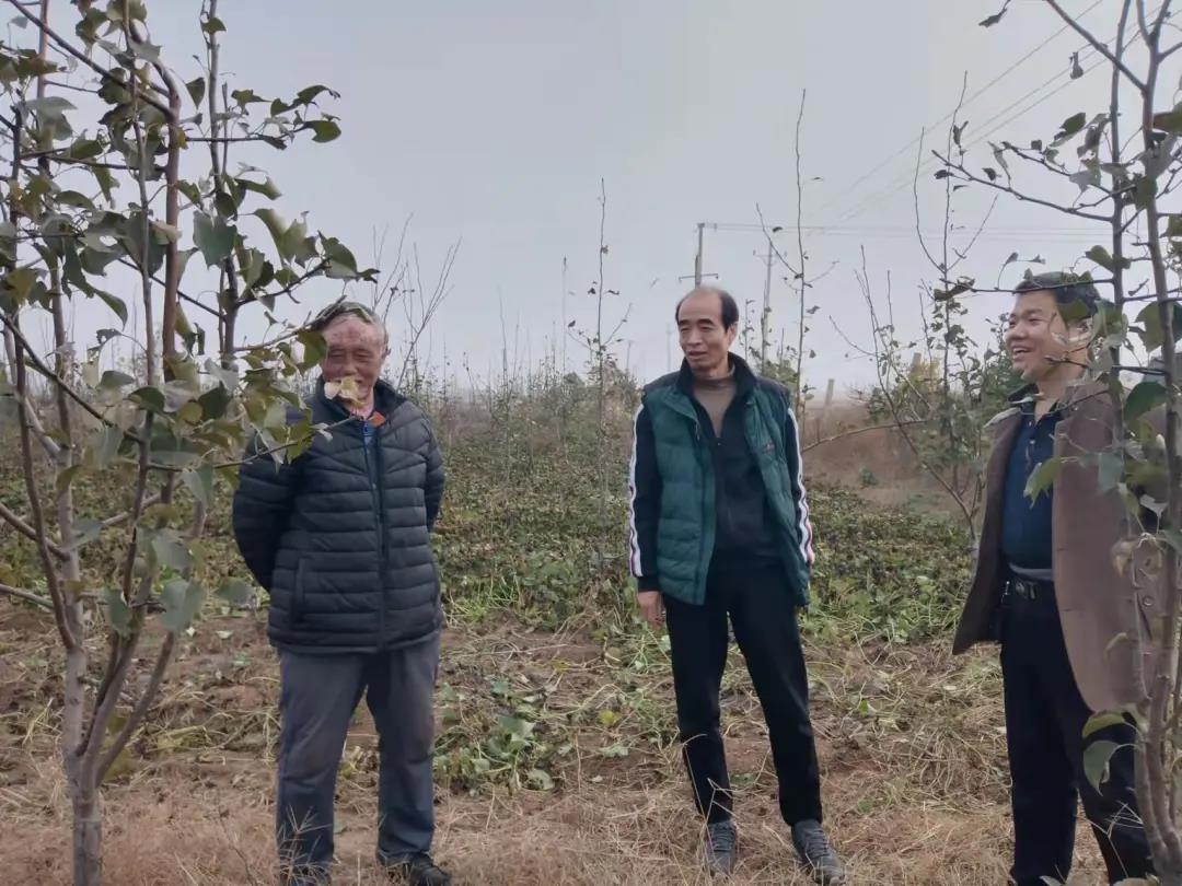 163590077886501581371104328651.jpg 微信图片_20211103085006.jpg